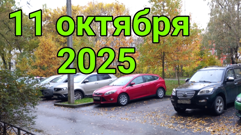 11 октября 2025. Магазинный вояж. смотреть онлайн