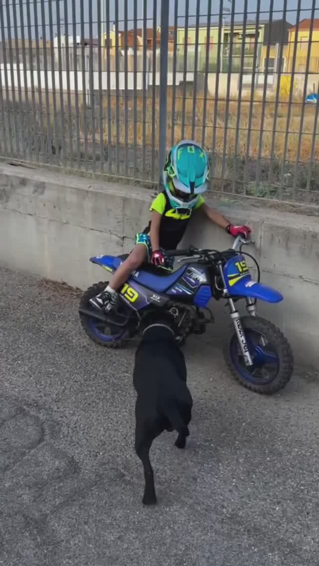 😂Доброе утро! смотреть онлайн