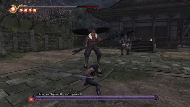 ВСЕ БОССЫ NINJA GAIDEN 2 Black1 смотреть онлайн