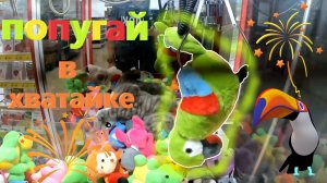 Борюсь за ПОПУГАЯ в автомате-хватайке нещедрого владельца!!! ПОПУГАЙ в хватайке 🦜