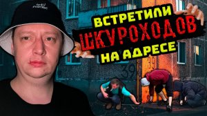 ВСТРЕТИЛИ ШКУРОХОДОВ НА АДРЕСЕ |СОБИРАЛИ ЧУЖИЕ КЛАДЫ |ЛЮТЫЕ СТАРШИЕ |ДВА БРАТА |ДРУЗЬЯ УХОДЯТ