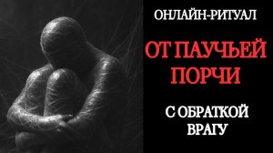 🕸️ОТ ПАУЧЬЕЙ ПОРЧИ🕸️