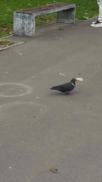 Когда добавляешь аксессуаров по совету стилиста 😉