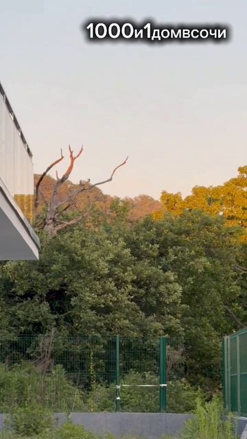 дом за 22 млн смотреть онлайн