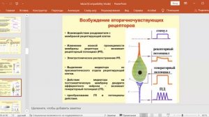 Лекция 6. Нормальная физиология для ИКМ и ИМД. Сенсорные системы. Раевская О.С.