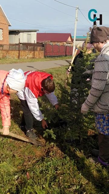 В Аксубаеве посадили деревья на улице Мазилина