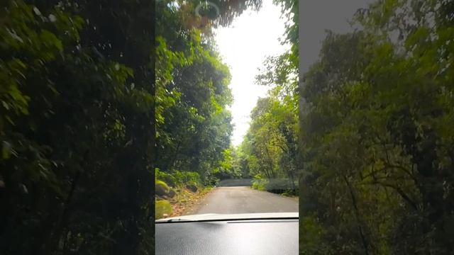 По серпантину на Сейшелах. Вы уверены, что хотите сесть за руль?