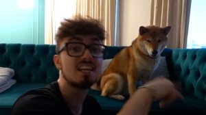 25 ФАКТОВ О МАРТИ