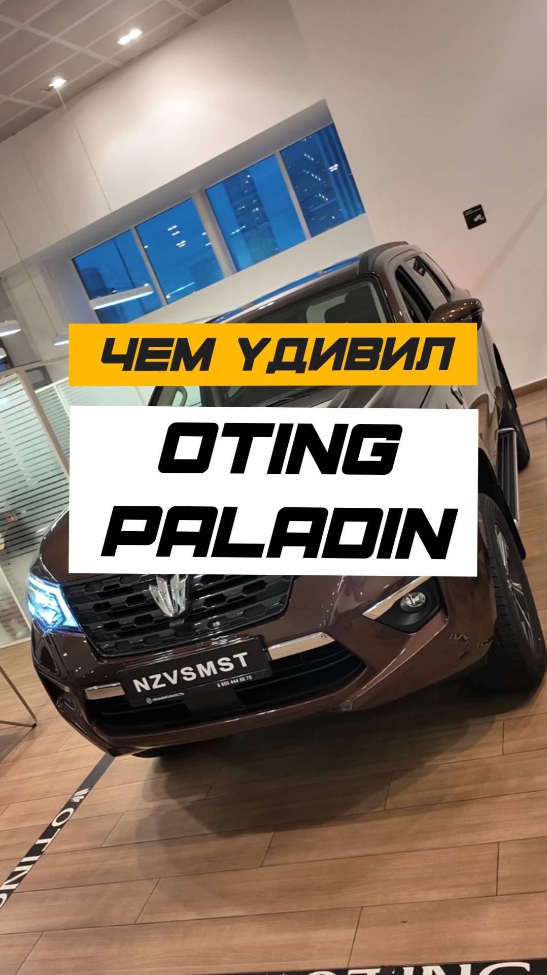 😱 ЧЕМ УДИВЛЯЕТ OTING PALADIN смотреть онлайн