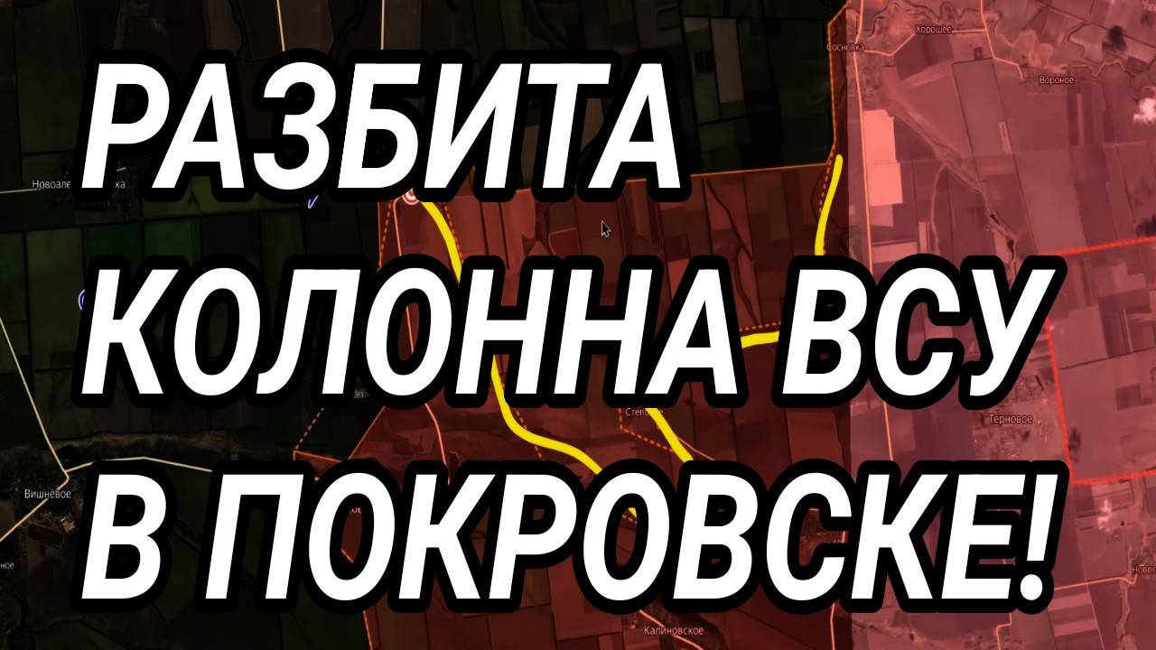 РАЗБИТА КОЛОННА ВСУ У ПОКРОВСКА. КУПЯНСК, СЕВЕРСК. Военные сводки 12.10.2025 смотреть онлайн
