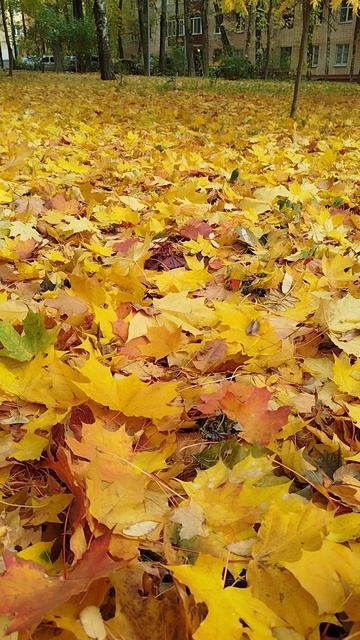 Бабье лето не хочет покидать Москву смотреть онлайн