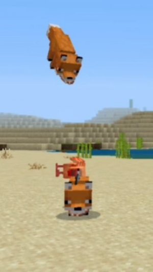 Лиса против курицы.