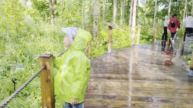 отец года смотреть онлайн