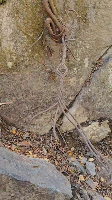 Карелия. Медвежьегорск. Кархумяки. Karelia. Medvezhyegorsk. Karkhumyaki смотреть онлайн