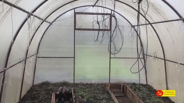 ОСЕННЯЯ ДЕЗИНФЕКЦИЯ ТЕПЛИЦЫ И ПОЧВЫ. Подготовка к зиме.