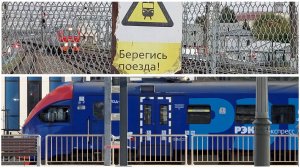 Пассажирские поезда и железнодорожный кот / Микс лето № 2 - 2025 / Видео про поезда и жд