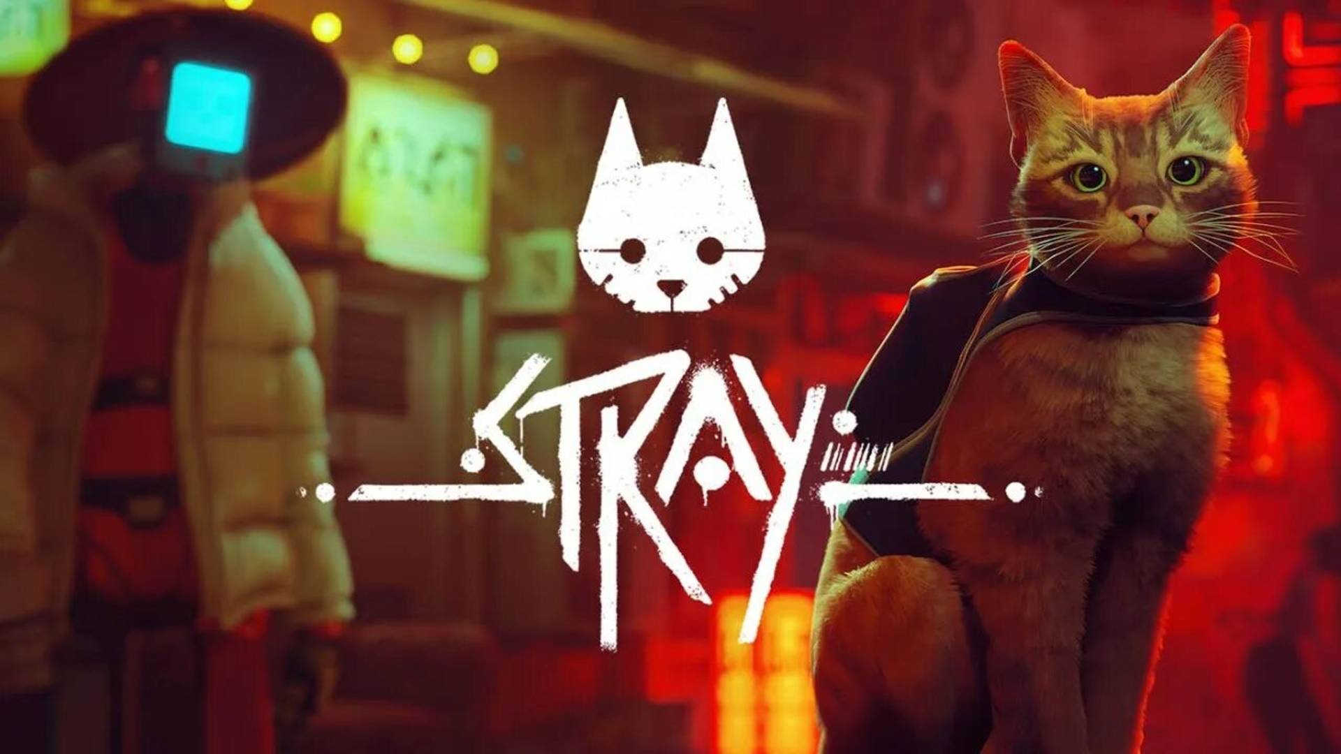 прохождение Stray