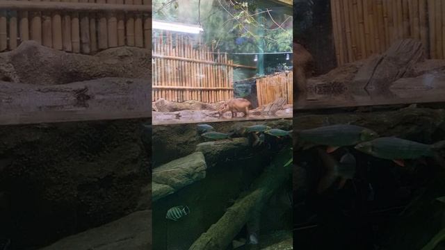 Москва. Третий день. Москвариум на ВДНХ