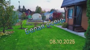 Белая осень