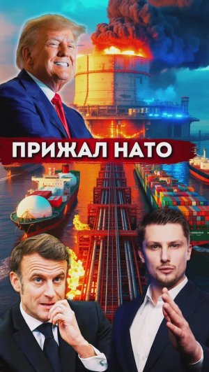 Трамп атаковал НАТО из-за России