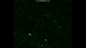 НЛО реальное видео. Самые яркие видео НЛО