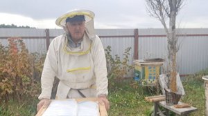 Зимние вентиляция деревянного улья и утепление гнезда для зимовки на воле