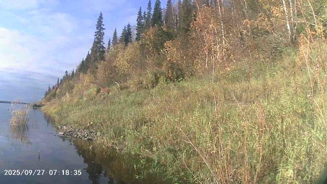 MOV00037 смотреть онлайн