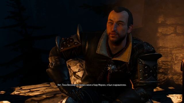 The Witcher 3 Wild Hunt ч27