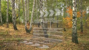 "  У берез и сосен тихо бродит ...    "  Музыкальная шкатулка