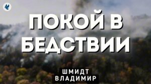 Покой в бедствии ♥️ Проповедь МСЦ ЕХБ