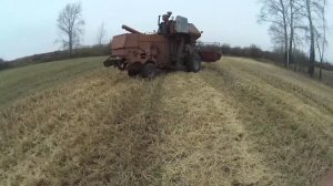 Огородно-полевая уборочная 2025. Нива СК-5 на новом поле.