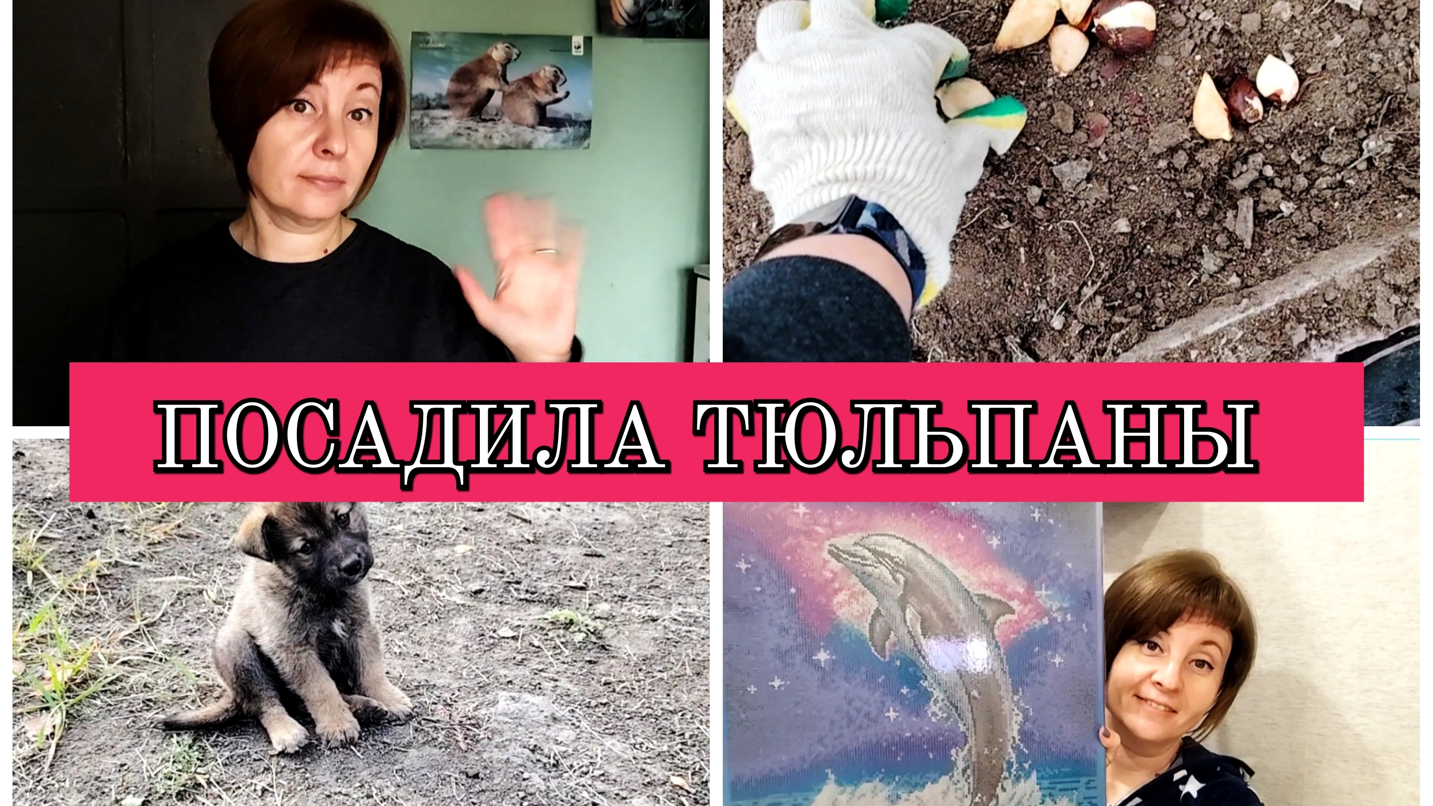 11-10-2025 НАВЕЛА ПОРЯДОК НА ГРЯДКЕ👍ПОСАДИЛА ТЮЛЬПАНЫ🌷КУПИЛА СЕБЕ РАДОСТЬ🐬ОТВЕЧАЮ НА КОММЕНТАРИИ❤ смотреть онлайн