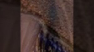 Сборник группа Сентябрь