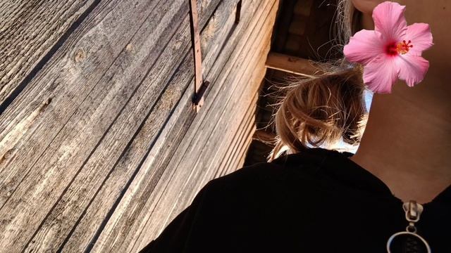 ИГРАЕМ В ДОЛГОЖДАННУЮ ИГРУ 