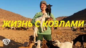 19 · Кто такие кочевники и как они выживают в пустынях?