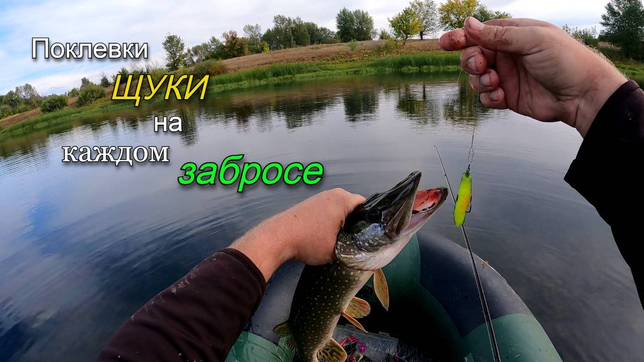 Отличная рыбалка на щуку в конце сентября. Поймал более 35 щук за утро. Часть 2 смотреть онлайн