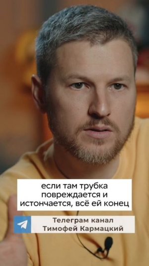 Наши кишки постоянно самообновляются #здоровье #психосоматика #кишки #рекомендации #оздоровление