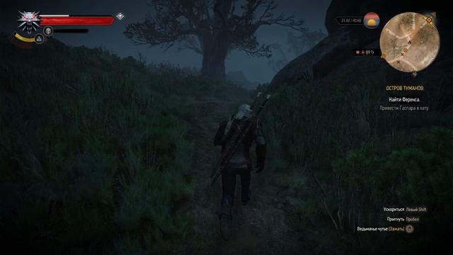 The Witcher 3 Wild Hunt ч30