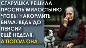 Старушка решила просить милостыню, чтобы накормить пса. Ведь до пенсии еще неделя. А потом