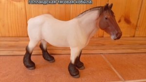 Лошади КСК ВОСХОДЯЩЯЯ ЗВЕЗДА ✴️