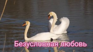 ⚡️Гармонизация отношений. Саблиминал. Женский