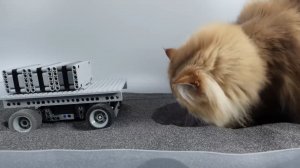 Строим вездеход из Лего