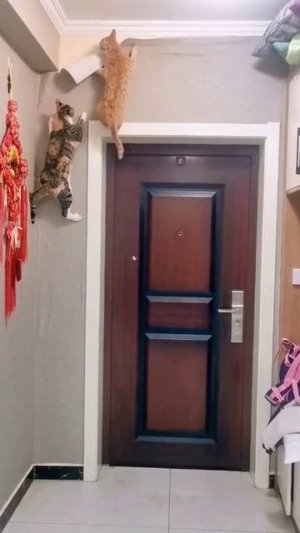 Монтажники.mp4