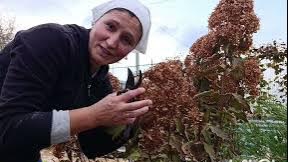 Сельские будни матушки.Домашний хлеб.Что я делаю с гортензиями осенью 🌸