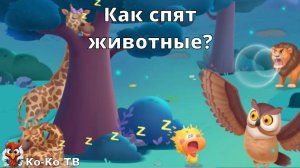 Игра "BabyBus. Как спят животные". Детская познавательная игра. (бейбибас, панда Кики).