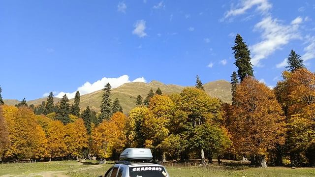 На Студенческой поляне смотреть онлайн