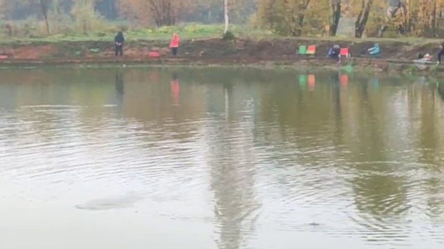 WhatsApp Video 2025-10-11 at 11.05.44 смотреть онлайн