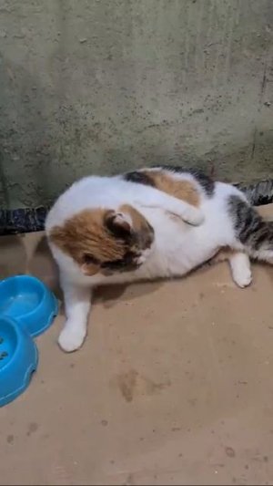 Провожаю его на работу. Утро доброе 😌