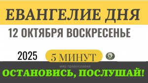 12 октября воскресенье Евангелие дня 2025 с толкованием #евангелие (5 минут)
