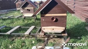 #Мёд, 99%пчеловодов обыкновенные мошенники(Эльфийский мёд из Кади-Юги)